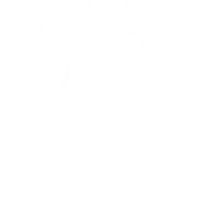 AAFF Logo